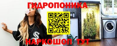 индика Лесной