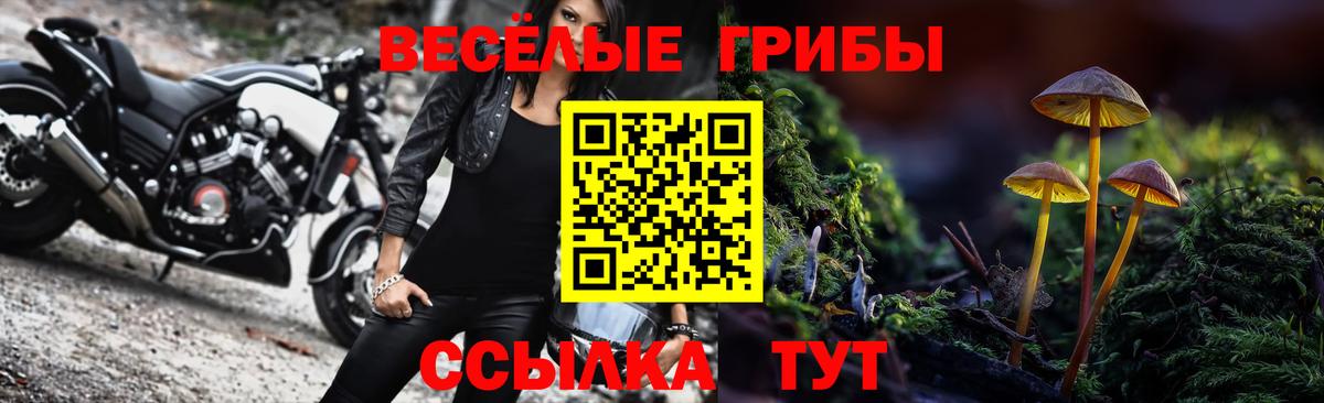 Белореченск  Галлюциногенные грибы Psilocybine cubensis  Вход с VPN  Галлюциногенные грибы ЛСД 