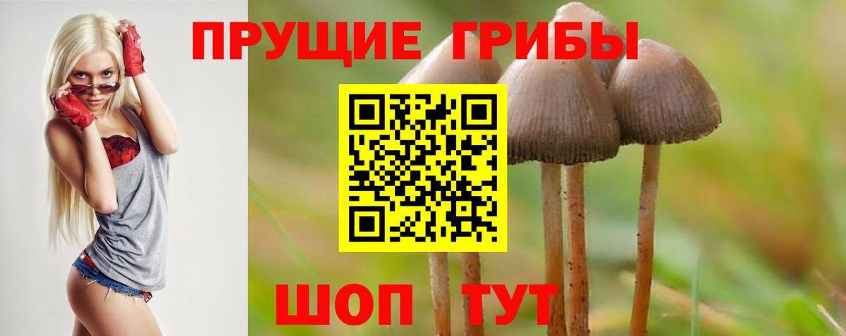 Псилоцибиновые грибы мухоморы Белореченск